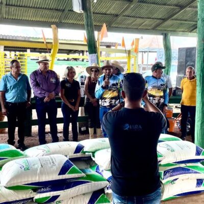 10º LEILÃO DE CASTANHEIRAS SE APROXIMA DE R$...